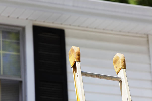 Best Historical Building Siding Restoration  in Bountiful, UT